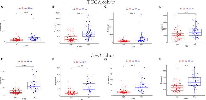 https://cdn.ncbi.nlm.nih.gov/pmc/blobs/feeb/8517454/710f48d4373c/fimmu-12-736030-g012.jpg