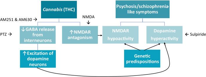 https://cdn.ncbi.nlm.nih.gov/pmc/blobs/feed/8333334/c5415639a8a5/41598_2021_95016_Fig7_HTML.jpg