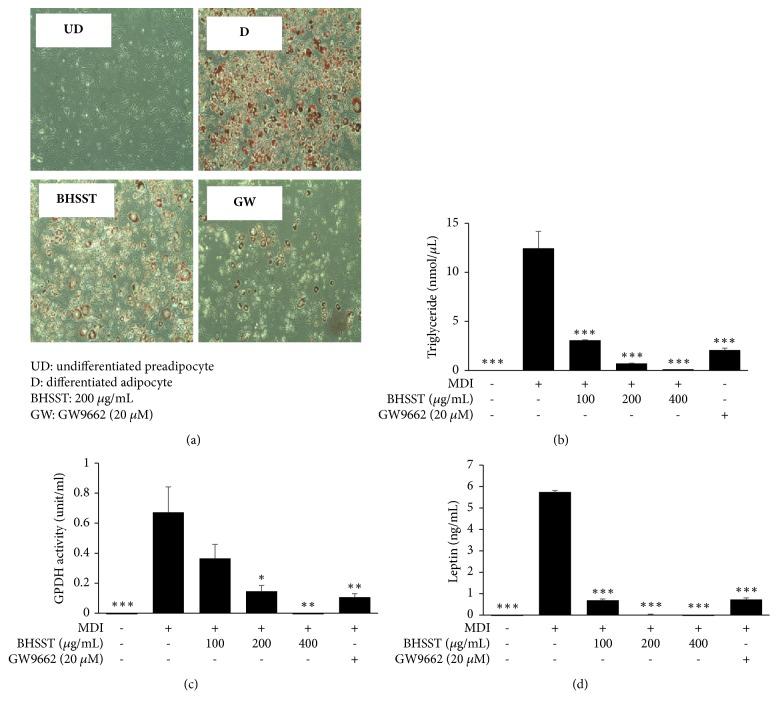 https://cdn.ncbi.nlm.nih.gov/pmc/blobs/feee/6136461/8adb1dc22cb6/ECAM2018-3865434.001.jpg