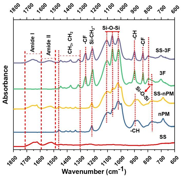 https://cdn.ncbi.nlm.nih.gov/pmc/blobs/feef/6681061/eb4158c24aa8/molecules-24-02521-g003.jpg