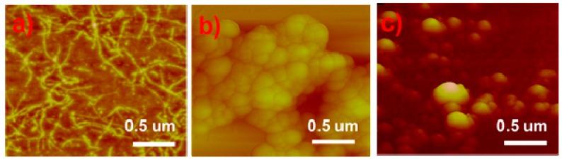 https://cdn.ncbi.nlm.nih.gov/pmc/blobs/feef/6681061/fe8a808c082c/molecules-24-02521-g002.jpg