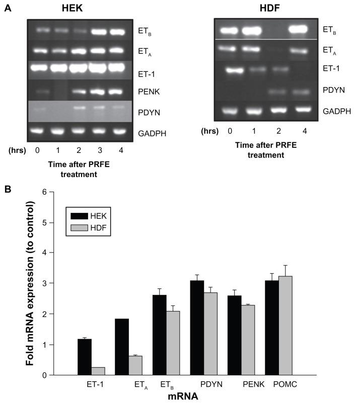 https://cdn.ncbi.nlm.nih.gov/pmc/blobs/fef0/3461619/0cd74b7816cf/jpr-5-347f5.jpg