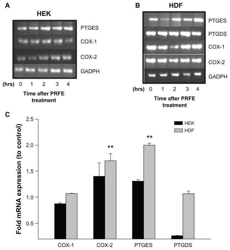 https://cdn.ncbi.nlm.nih.gov/pmc/blobs/fef0/3461619/9dac63139c30/jpr-5-347f1.jpg