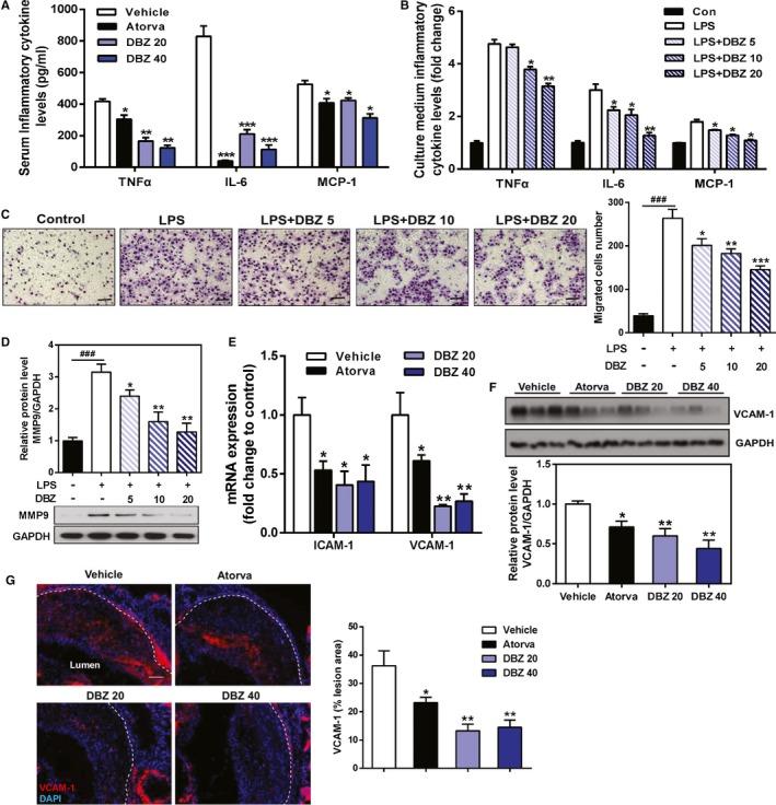 https://cdn.ncbi.nlm.nih.gov/pmc/blobs/fef0/5721843/fec5d5089c25/JAH3-6-e006297-g003.jpg