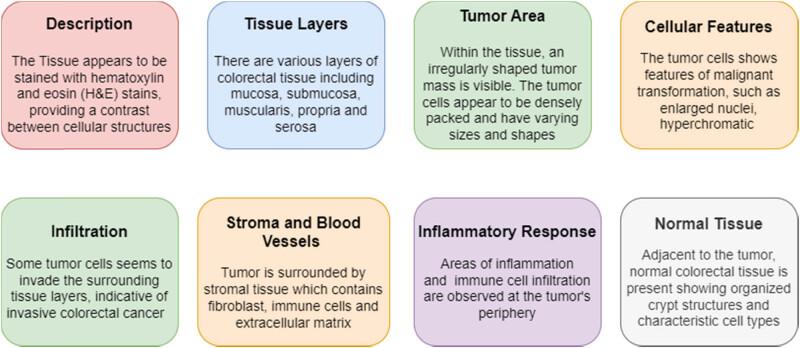 https://cdn.ncbi.nlm.nih.gov/pmc/blobs/fef3/10751997/19eae0dae26d/j_biol-2022-0777-fig001.jpg