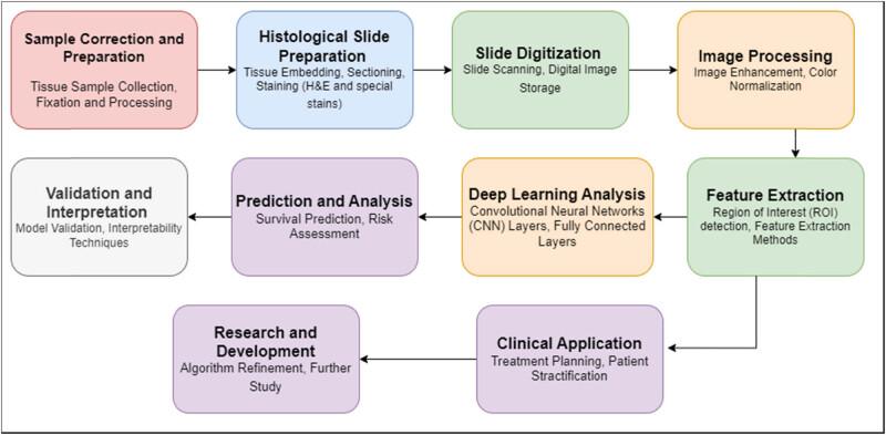 https://cdn.ncbi.nlm.nih.gov/pmc/blobs/fef3/10751997/906b85be2fba/j_biol-2022-0777-fig002.jpg