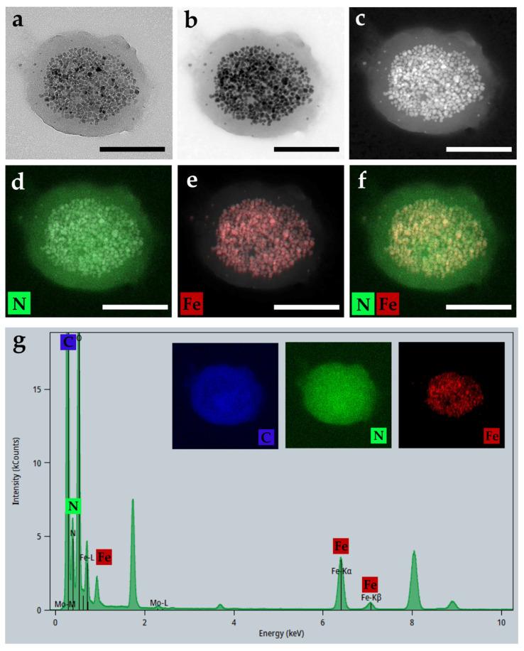 https://cdn.ncbi.nlm.nih.gov/pmc/blobs/fef5/11723388/60c046be0b5d/polymers-17-00085-g003.jpg