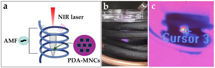 https://cdn.ncbi.nlm.nih.gov/pmc/blobs/fef5/11723388/cfa7e5dce587/polymers-17-00085-g001.jpg