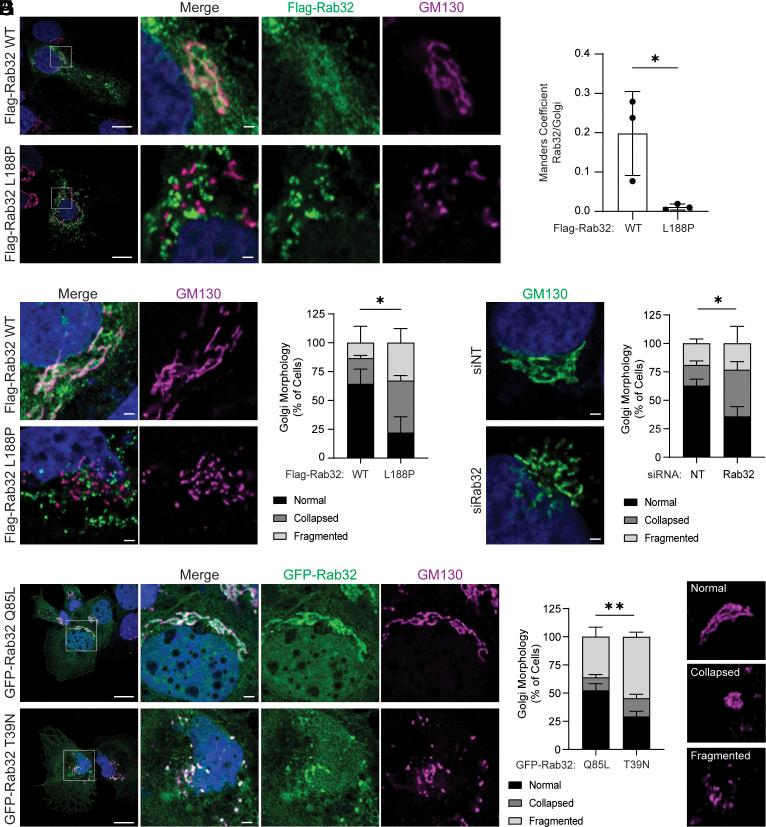 https://cdn.ncbi.nlm.nih.gov/pmc/blobs/fef5/12054839/96974a708dad/pnas.2502971122fig01.jpg