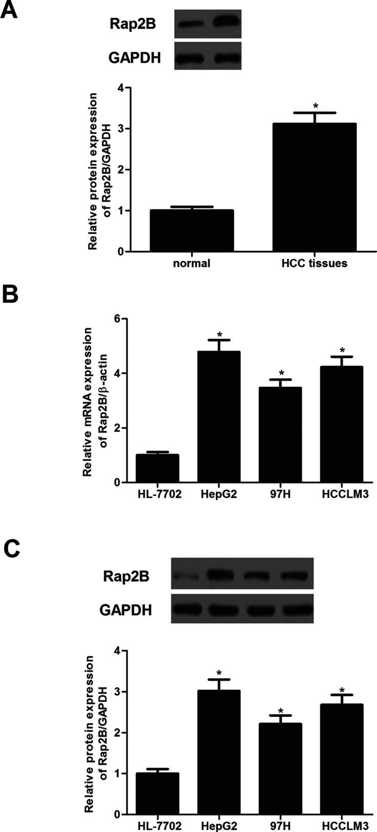 https://cdn.ncbi.nlm.nih.gov/pmc/blobs/fef5/7840814/06fab7d64aef/OR-25-019-g001.jpg