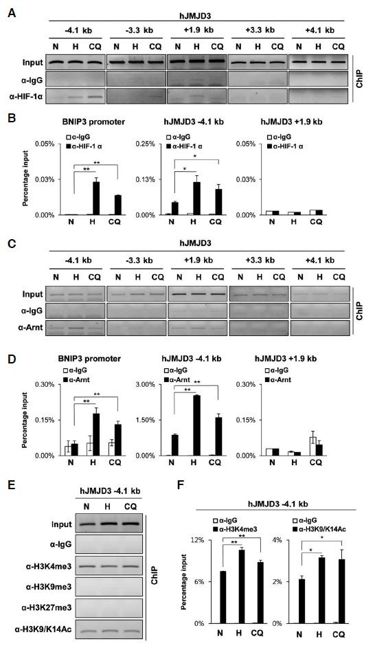 https://cdn.ncbi.nlm.nih.gov/pmc/blobs/fef6/3907005/f189c68d57be/molcell-37-1-7-f4.jpg