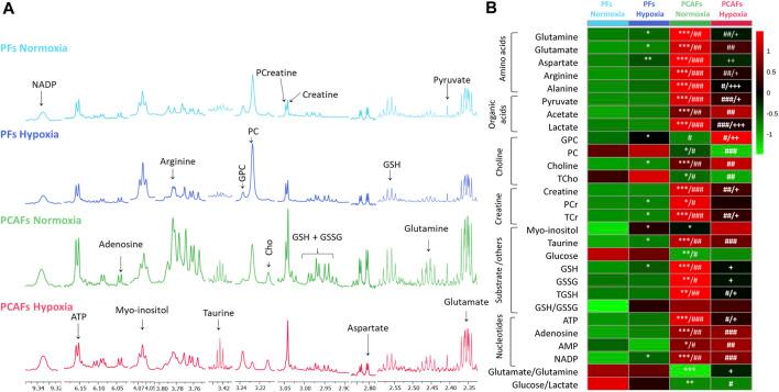 https://cdn.ncbi.nlm.nih.gov/pmc/blobs/fef7/10995317/4af2ff10f0ef/fmolb-11-1354076-g003.jpg