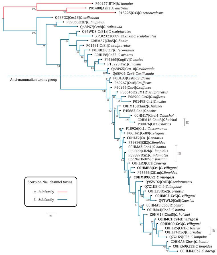 https://cdn.ncbi.nlm.nih.gov/pmc/blobs/fef7/11280942/ed31294070f3/toxins-16-00301-g004.jpg