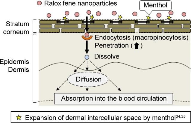 https://cdn.ncbi.nlm.nih.gov/pmc/blobs/fef7/6135211/e8f3ebe03d0e/ijn-13-5215Fig8.jpg