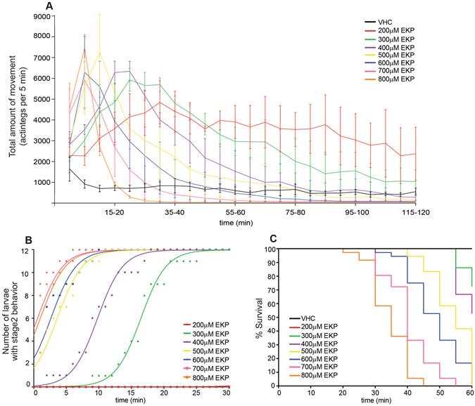 https://cdn.ncbi.nlm.nih.gov/pmc/blobs/fefa/5543107/d80229fee8c9/41598_2017_6294_Fig2_HTML.jpg