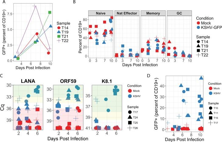 https://cdn.ncbi.nlm.nih.gov/pmc/blobs/fefa/5919685/e5f09a34c456/ppat.1006967.g001.jpg