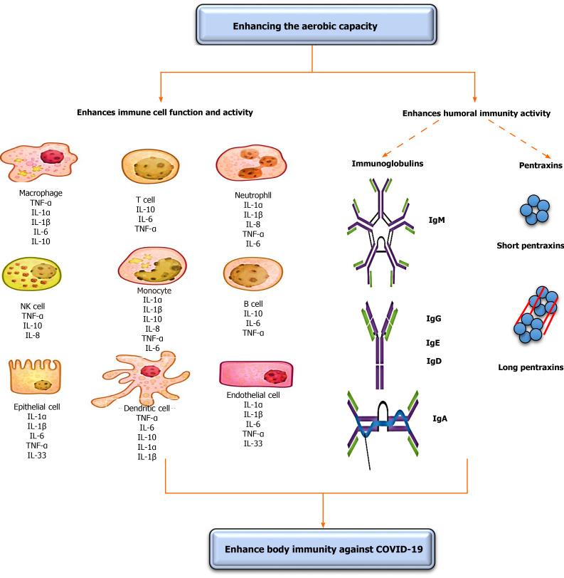 https://cdn.ncbi.nlm.nih.gov/pmc/blobs/fefa/8283603/25022369bee3/WJCC-9-4939-g001.jpg