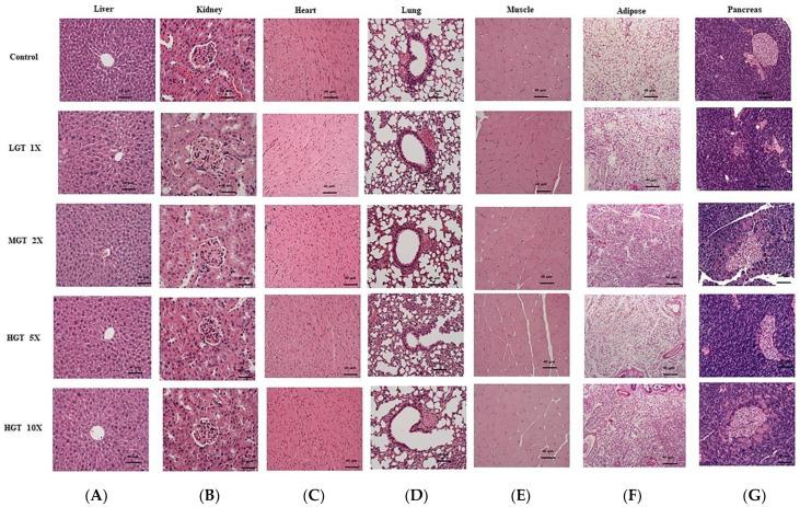 https://cdn.ncbi.nlm.nih.gov/pmc/blobs/fefa/8912778/e5b6eeb9c48b/nutrients-14-01011-g005.jpg