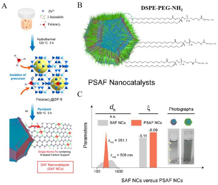 https://cdn.ncbi.nlm.nih.gov/pmc/blobs/fefb/9457768/3efc3aa32aca/molecules-27-05426-g005.jpg
