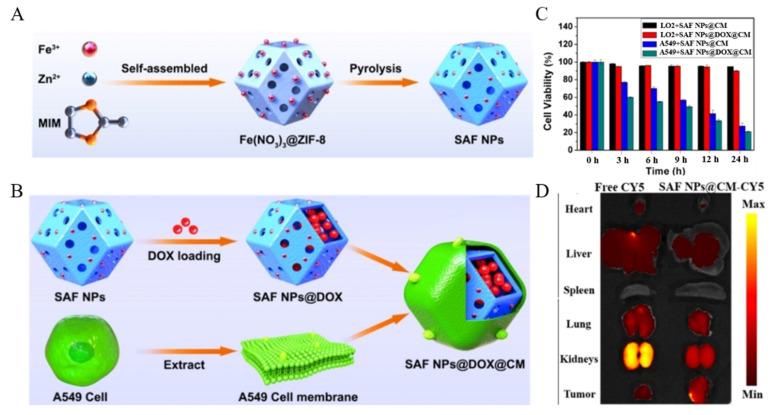 https://cdn.ncbi.nlm.nih.gov/pmc/blobs/fefb/9457768/6ae93009e980/molecules-27-05426-g006.jpg