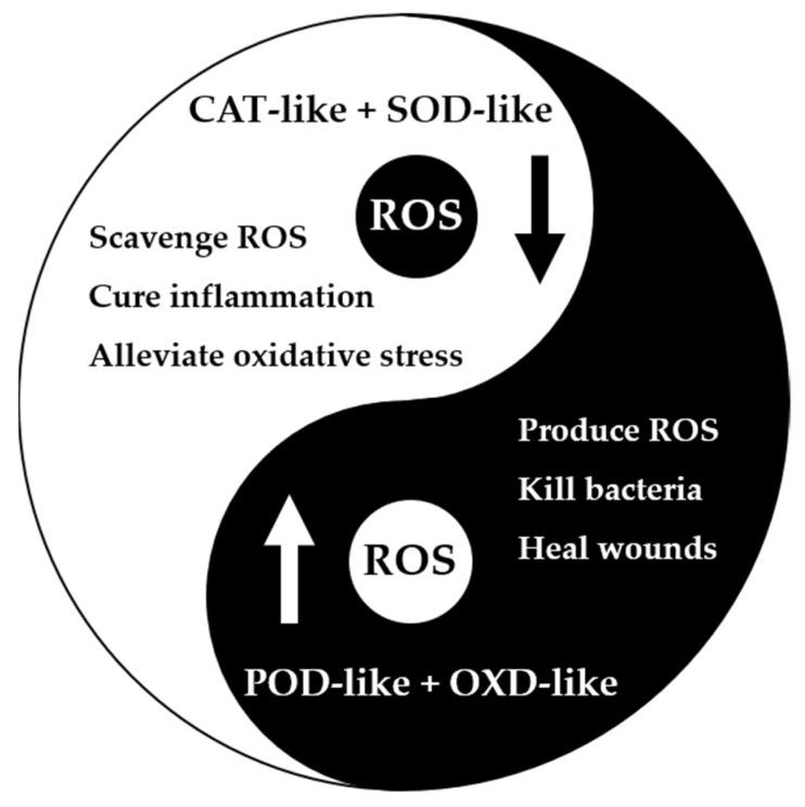 https://cdn.ncbi.nlm.nih.gov/pmc/blobs/fefb/9457768/929b97ab0d7f/molecules-27-05426-g007.jpg