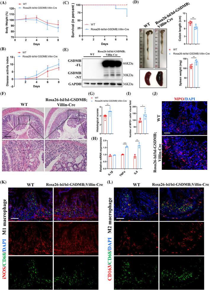 https://cdn.ncbi.nlm.nih.gov/pmc/blobs/fefd/11628737/df3809574303/CPR-57-e13711-g003.jpg
