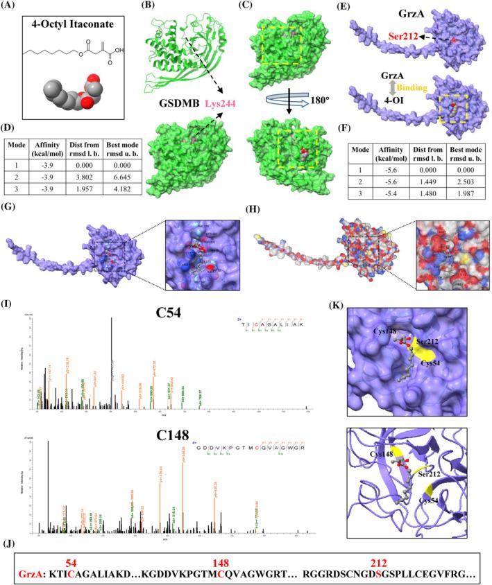 https://cdn.ncbi.nlm.nih.gov/pmc/blobs/fefd/11628737/e572ee3db207/CPR-57-e13711-g005.jpg