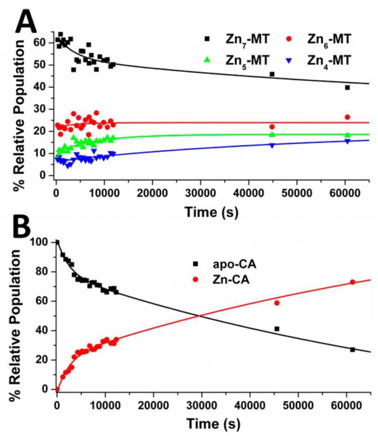 https://cdn.ncbi.nlm.nih.gov/pmc/blobs/fefd/7460868/72cb2cfcc773/ijms-21-05697-g006.jpg