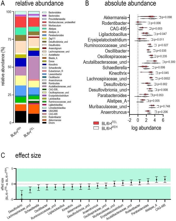 https://cdn.ncbi.nlm.nih.gov/pmc/blobs/fefe/11608989/9e6ba2b4a06b/fphar-15-1453989-g007.jpg