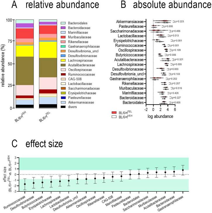 https://cdn.ncbi.nlm.nih.gov/pmc/blobs/fefe/11608989/d65495035ccd/fphar-15-1453989-g006.jpg