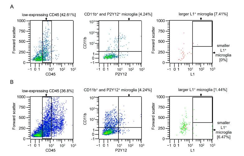 https://cdn.ncbi.nlm.nih.gov/pmc/blobs/fefe/11989546/797beb5f12a2/ijms-26-03285-g004.jpg