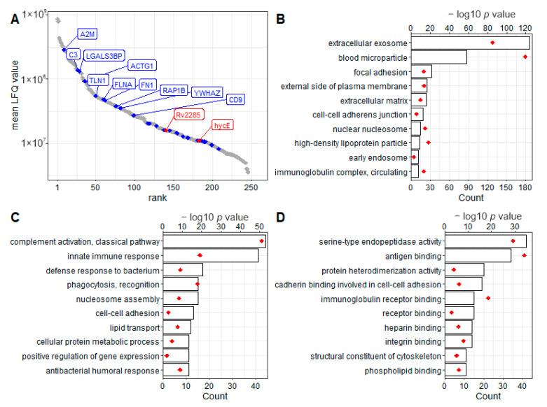 https://cdn.ncbi.nlm.nih.gov/pmc/blobs/feff/9025801/39dc975dd21c/biomedicines-10-00783-g006.jpg