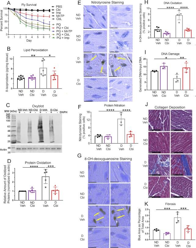 https://cdn.ncbi.nlm.nih.gov/pmc/blobs/ff03/9802293/1678e0974627/pgac191fig4.jpg