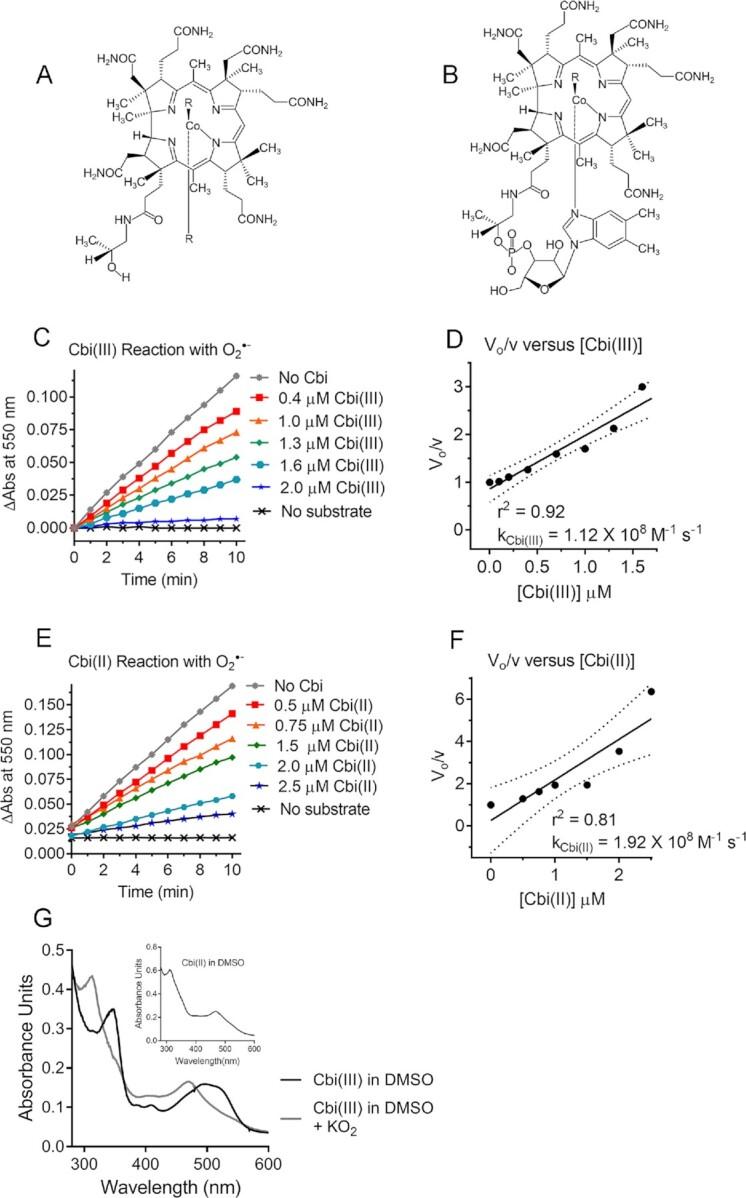 https://cdn.ncbi.nlm.nih.gov/pmc/blobs/ff03/9802293/906b7a84f2a0/pgac191fig1.jpg