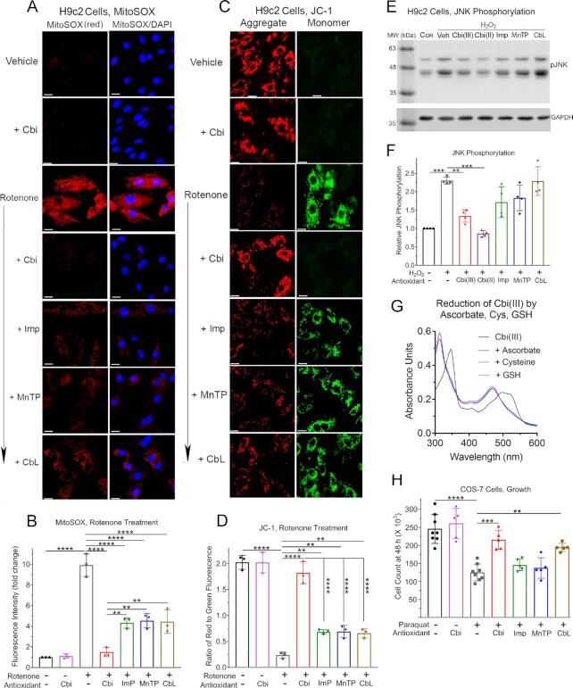 https://cdn.ncbi.nlm.nih.gov/pmc/blobs/ff03/9802293/e9784f81c07e/pgac191fig3.jpg