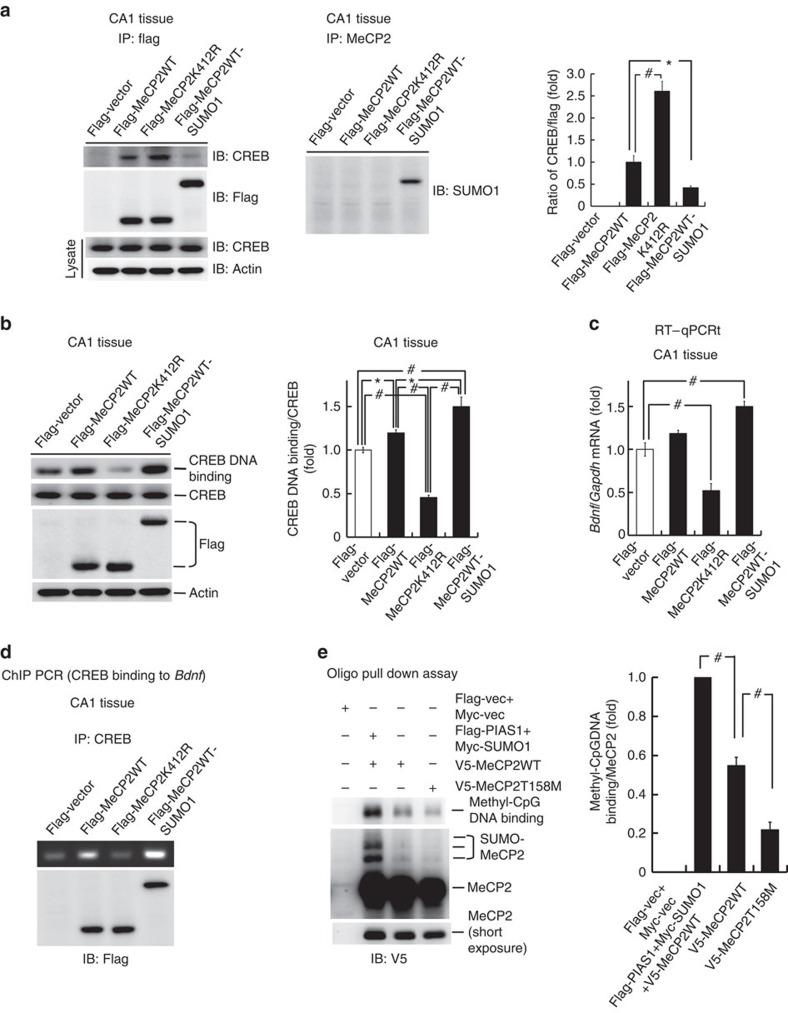https://cdn.ncbi.nlm.nih.gov/pmc/blobs/ff04/4743023/34397483dd3b/ncomms10552-f4.jpg