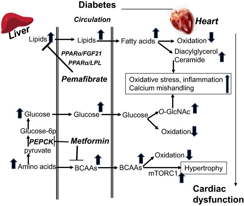 https://cdn.ncbi.nlm.nih.gov/pmc/blobs/ff04/7783984/c210d48217d8/12933_2020_1188_Fig3_HTML.jpg