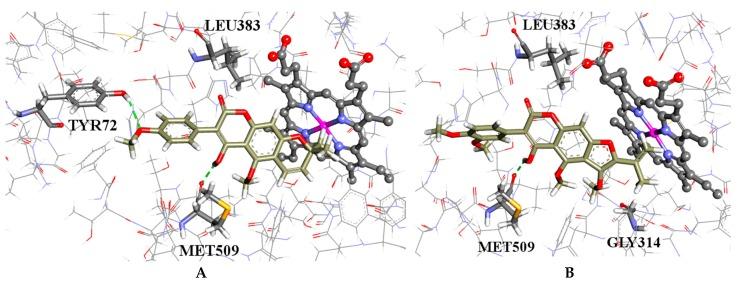 https://cdn.ncbi.nlm.nih.gov/pmc/blobs/ff06/6274499/11c150405980/molecules-21-01369-g003.jpg