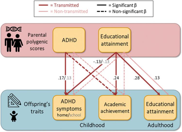 https://cdn.ncbi.nlm.nih.gov/pmc/blobs/ff06/7355279/63fb25dc894d/10519_2020_9992_Fig3_HTML.jpg