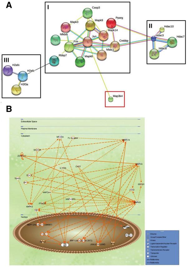 https://cdn.ncbi.nlm.nih.gov/pmc/blobs/ff07/4052347/dea4022872bc/1752-0509-8-57-5.jpg