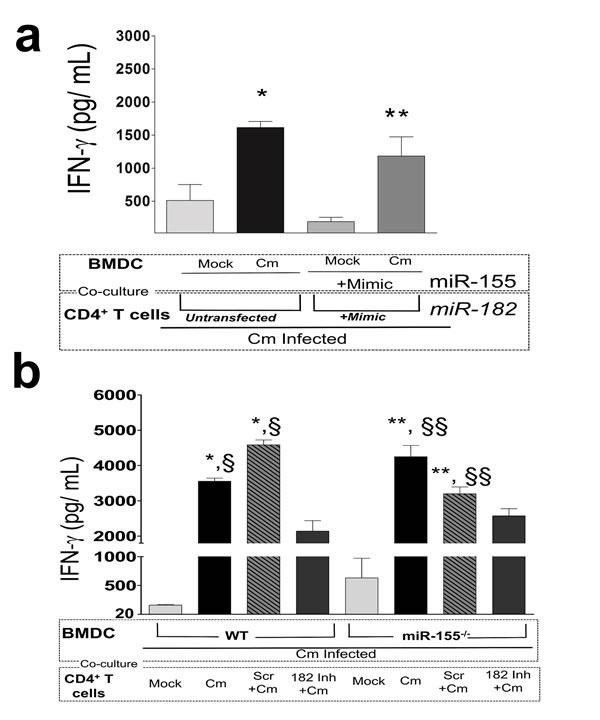 https://cdn.ncbi.nlm.nih.gov/pmc/blobs/ff07/5323111/04961496bdee/oncotarget-07-64726-g006.jpg