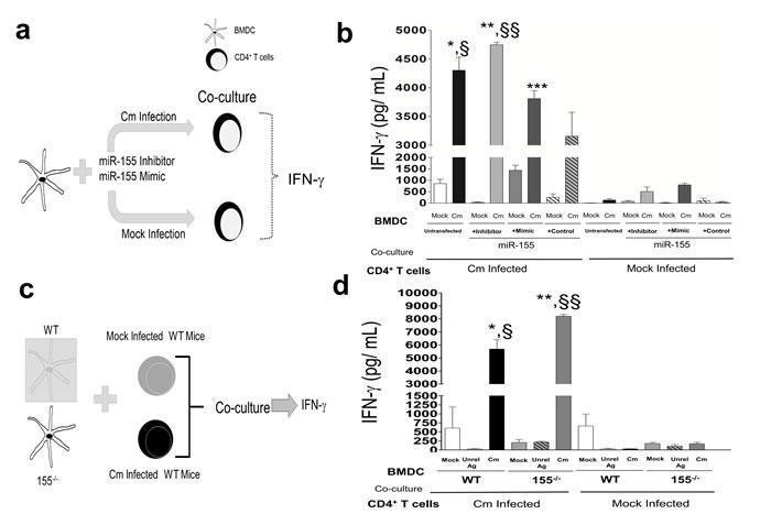 https://cdn.ncbi.nlm.nih.gov/pmc/blobs/ff07/5323111/09b4921d580f/oncotarget-07-64726-g003.jpg
