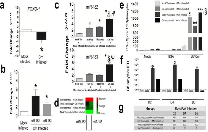 https://cdn.ncbi.nlm.nih.gov/pmc/blobs/ff07/5323111/3c517c3c58c5/oncotarget-07-64726-g004.jpg