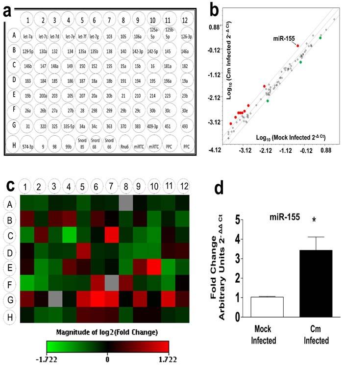 https://cdn.ncbi.nlm.nih.gov/pmc/blobs/ff07/5323111/d518b4512a16/oncotarget-07-64726-g001.jpg