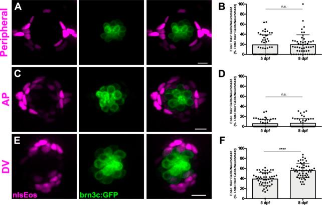 https://cdn.ncbi.nlm.nih.gov/pmc/blobs/ff08/6433462/12bc2facad5d/elife-43736-fig2.jpg