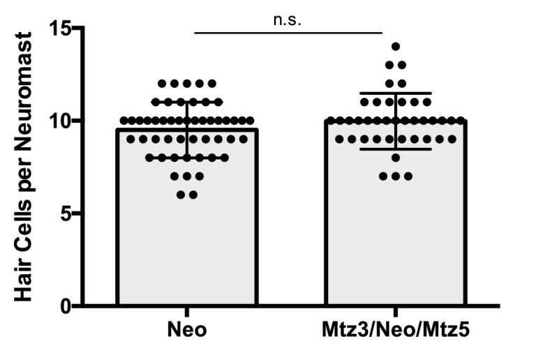 https://cdn.ncbi.nlm.nih.gov/pmc/blobs/ff08/6433462/40a189d830c3/elife-43736-fig6-figsupp1.jpg