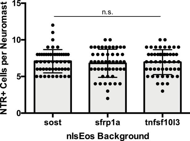 https://cdn.ncbi.nlm.nih.gov/pmc/blobs/ff08/6433462/92db17bd4be2/elife-43736-fig11-figsupp2.jpg