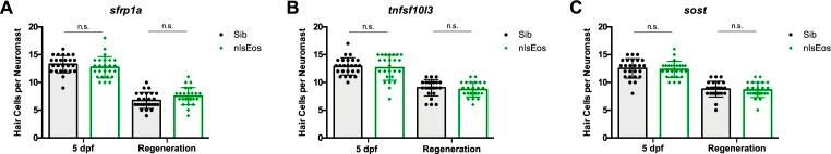 https://cdn.ncbi.nlm.nih.gov/pmc/blobs/ff08/6433462/b91bb19aace6/elife-43736-fig2-figsupp3.jpg