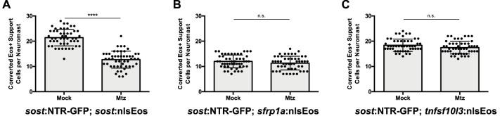 https://cdn.ncbi.nlm.nih.gov/pmc/blobs/ff08/6433462/f3875908df6d/elife-43736-fig11-figsupp1.jpg