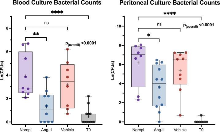 https://cdn.ncbi.nlm.nih.gov/pmc/blobs/ff08/9407661/5f9534804d87/pnas.2211370119fig05.jpg